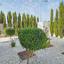 3 bedroom detached house for sale saint george peyia paphos 8512872 thumbnail 15377505