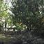 2 bedroom detached house for sale pano akourdalia paphos 8965972 thumbnail 17826813