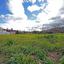land for sale psevdas larnaca 847972 thumbnail 15602387