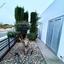 3 bedroom detached house for sale ayia napa famagusta 8429082 thumbnail 14982088