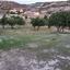 land for sale pissouri limassol 8897082 thumbnail 17341958