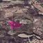 land for sale skarinou larnaca 8275082 thumbnail 17709947