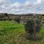 plot for sale analiontas nicosia 8786082 thumbnail 16662639