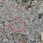 plot for sale chrysopolitissa larnaca 1309082 thumbnail 5249367