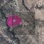 38462 SQM Land for sale in Agios Therapon, Limassol thumbnail 15158137