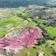 land for sale agia marina xyliatou nicosia 8249182 thumbnail 13869171