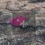 land for sale agios therapon limassol 8275182 thumbnail 15158135