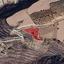 land for sale drimou paphos 8562182 thumbnail 16512233