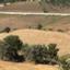 land for sale drimou paphos 8562182 thumbnail 16512234