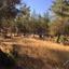 land for sale kornos larnaca 1149182 thumbnail 5743226