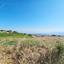 land for sale drousia paphos 8801282 thumbnail 16774007