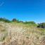 land for sale drousia paphos 8801282 thumbnail 16774008