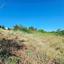 land for sale drousia paphos 8801282 thumbnail 16774009