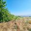 land for sale drousia paphos 8801282 thumbnail 16774010