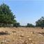 land for sale pachna limassol 840282 thumbnail 15442400