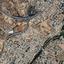 plot for sale archangelos nicosia 1823282 thumbnail 16739379