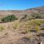 5017 SQM Land for sale in Ineia, Paphos thumbnail 16009503