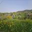 land for sale asgata limassol 8890382 thumbnail 17319485