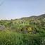 land for sale asgata limassol 8890382 thumbnail 17319488