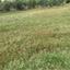land for sale kelokedara paphos 1530382 thumbnail 15598031