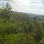 land for sale moniatis limassol 7739382 thumbnail 10213050
