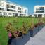 1 bedroom penthouse for sale pervolia larnaca 7872482 thumbnail 15218284