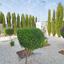 3 bedroom detached house for sale saint george peyia paphos 8529482 thumbnail 15455153