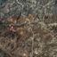 land for sale kalo chorio lemesou limassol 1689482 thumbnail 16700722