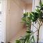 2 bedroom town house for sale kato paphos universal paphos 8238582 thumbnail 15986138