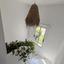 4 bedroom detached house for rent peyia paphos 8434582 thumbnail 15014425