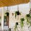 6 bedroom detached house for sale anglisides larnaca 8693582 thumbnail 16186495