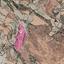 land for sale kritou marottou paphos 8237582 thumbnail 14230947