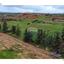 land for sale kouklia pafou paphos 8140682 thumbnail 14128508