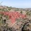 5747 SQM Land for sale in Xyliatos, Nicosia thumbnail 15907952