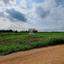 land for sale frenaros famagusta 1292782 thumbnail 9268414