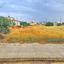 land for sale frenaros famagusta 852782 thumbnail 772647