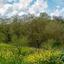 4683 SQM Land for sale in Drimou, Paphos thumbnail 15594763