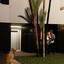 2 bedroom apartment for sale livadia larnacas larnaca 1513882 thumbnail 5688258