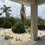 4 bedroom detached house for rent saint george peyia paphos 8652882 thumbnail 16267048