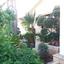 6 bedroom detached house for sale emba paphos 1684882 thumbnail 4406794