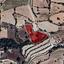 land for sale drimou paphos 8433882 thumbnail 15594756
