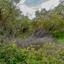 land for sale drimou paphos 8433882 thumbnail 15594758