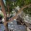 2 bedroom semi detached house for rent nicosia municipality nicosia 1538982 thumbnail 3821817