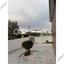 3 bedroom detached house for sale kiti larnaca 8174982 thumbnail 13693548