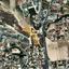 land for sale larnaca municipality larnaca 1732982 thumbnail 5724217