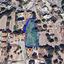 plot for sale tala paphos 1679982 thumbnail 16663108