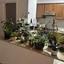 2 bedroom apartment for rent petrou kai pavlou limassol 8612092 thumbnail 15808047