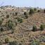 land for sale agia anna larnaca 952092 thumbnail 15867480