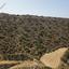 land for sale pissouri limassol 946092 thumbnail 15602964