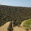 land for sale pissouri limassol 946092 thumbnail 15602966